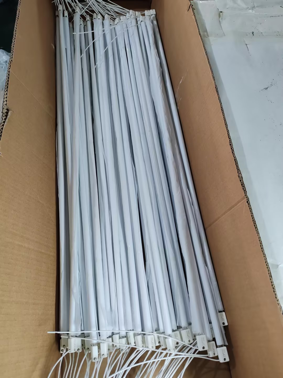 lampa halogenowa 500W 220 240V